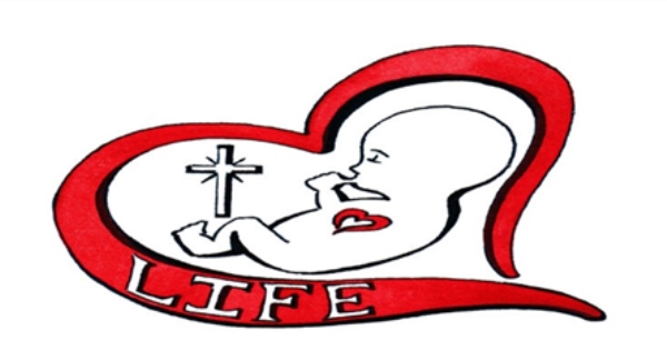 Pro-Life Update
