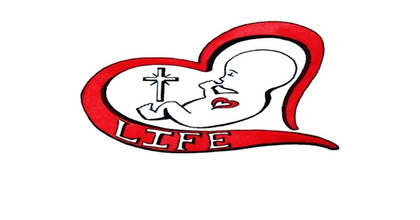 The Abortion Pill - How Safe is it?